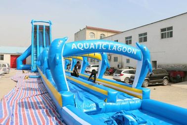China Wasserrutsche WSS-277/0.55mm des blauen Delphins großes PVC-Material für Erwachsene usine