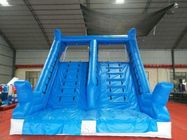 Kundengebundene aufblasbare Delphin-Wasserrutsche WSS-248 mit Luft-Gebläse 10x5x5.5m fournisseur
