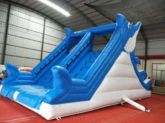 Kundengebundene aufblasbare Delphin-Wasserrutsche WSS-248 mit Luft-Gebläse 10x5x5.5m